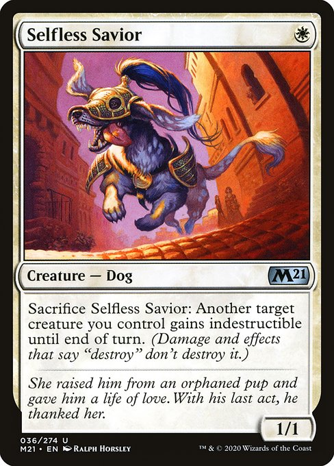 Selfless Savior (36)